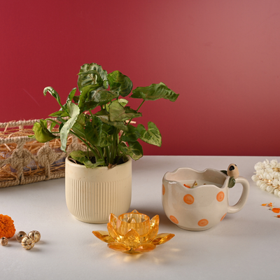 Gift hampers